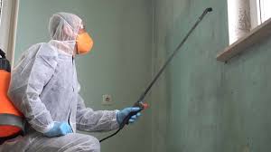 Best Biohazard Mold Removal  in Lake San Marcos, CA