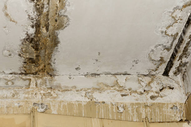 Best Asbestos and Lead Testing During Mold Inspection  in Lake San Marcos, CA